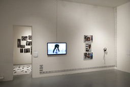 Installation photo, 9 of 9
