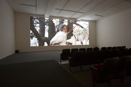 Installation photo, 16 of 17