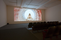 Installation photo, 9 of 17