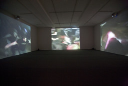 Installation photo, 15 of 16