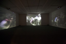 Installation photo, 4 of 16