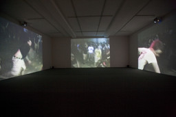 Installation photo, 9 of 16