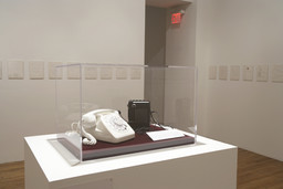 Installation photo, 6 of 10