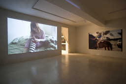 Installation photo, 17 of 19