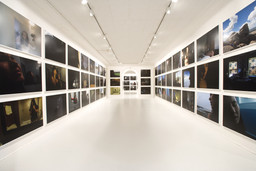 Installation photo, 3 of 19