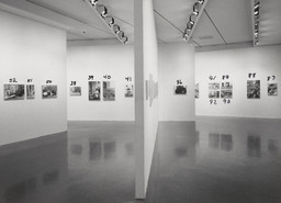 Installation photo, 14 of 45