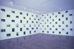 Installation photo, 24 of 82