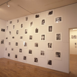 Installation photo, 25 of 82