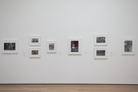 The Long Run. Nov 11, 2017–May 5, 2019. 7 other works identified