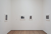 The Long Run. Nov 11, 2017–May 5, 2019. 3 other works identified