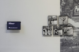 Installation photo, 12 of 43