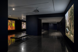 Installation photo, 10 of 12