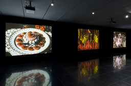 Installation photo, 11 of 12