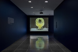Installation photo, 2 of 12