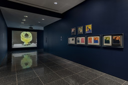 Installation photo, 4 of 12