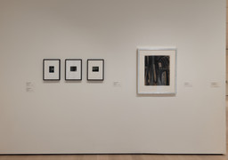 Installation photo, 9 of 9