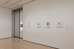 Installation photo, 7 of 15