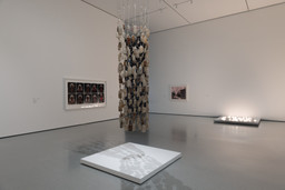Installation photo, 16 of 35
