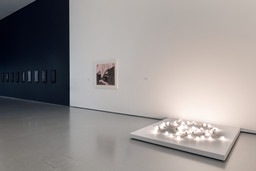 Installation photo, 18 of 35