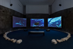Installation photo, 7 of 10