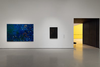 209: Objects of Desire. Ongoing. 1 other work identified