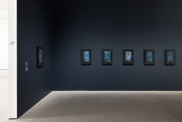 Installation photo, 4 of 13