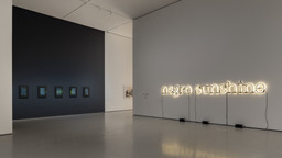 Installation photo, 7 of 13