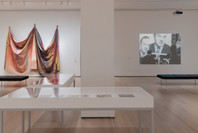 415: Divided States of America. Ongoing. 3 other works identified