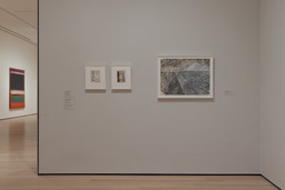 Installation photo, 8 of 11