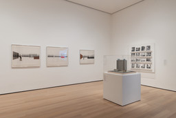 Installation photo, 16 of 17