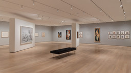 Installation photo, 19 of 47