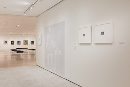Installation photo, 24 of 47