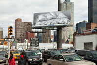 Print/Out. Feb 19–May 14, 2012.
