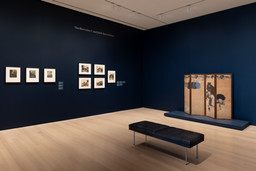 Installation photo, 14 of 16