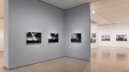 Installation photo, 15 of 64