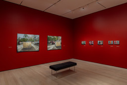 Installation photo, 33 of 64