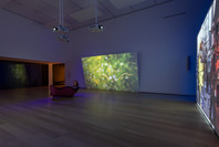 212: Ja’Tovia Gary’s THE GIVERNY SUITE. Sep 1, 2023–Sep 22, 2024.