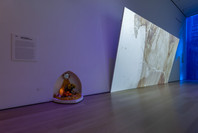 212: Ja’Tovia Gary’s THE GIVERNY SUITE. Sep 1, 2023–Sep 22, 2024.