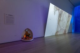 Installation photo, 4 of 18