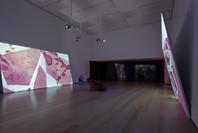 212: Ja’Tovia Gary’s THE GIVERNY SUITE. Sep 1, 2023–Sep 22, 2024.