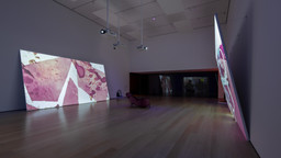 Installation photo, 7 of 18