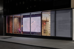 Installation photo, 17 of 17