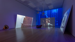 Installation photo, 10 of 18