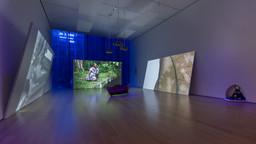 Installation photo, 13 of 18