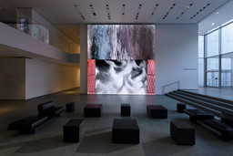 Installation photo, 7 of 7