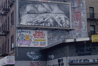 On the Edge: Contemporary Art from the Werner and Elaine Dannheisser Collection. Sep 30, 1997–Jan 20, 1998.