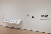 419: Photography and Language. Ongoing. 3 other works identified