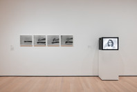 419: Photography and Language. Ongoing. 1 other work identified