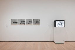 Installation photo, 6 of 11