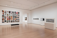419: Photography and Language. Ongoing. 2 other works identified